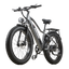 BURCHDA RX20 Fat Tire All Terrain Electric Bike For Adults
