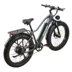 BURCHDA RX20 Fat Tire All Terrain Electric Bike For Adults