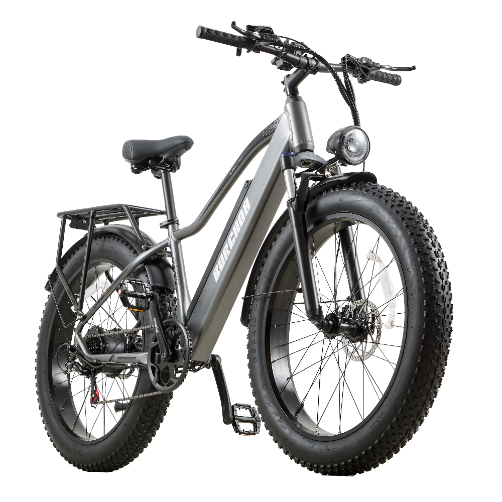 BURCHDA RX20 Fat Tire All Terrain Electric Bike For Adults