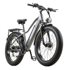 BURCHDA RX20 Fat Tire All Terrain Electric Bike For Adults