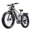 Vélo électrique tout-terrain BURCHDA RX80